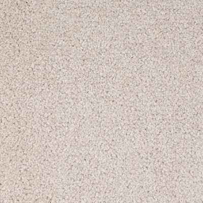 Dixie Home Floors Spectrum Treasure