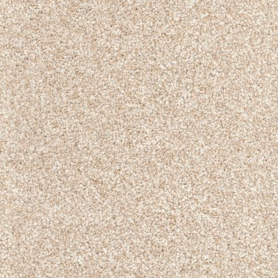 Dixie Home Floors Husky Bulldog