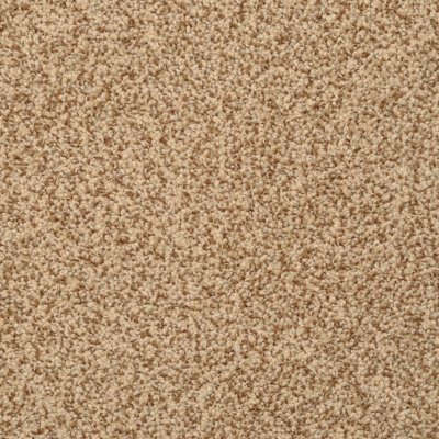 Dixie Home Floors Cozy Mesa