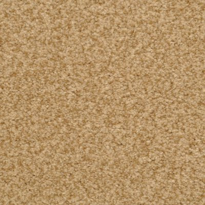 Dixie Home Floors Innovations Cheetah