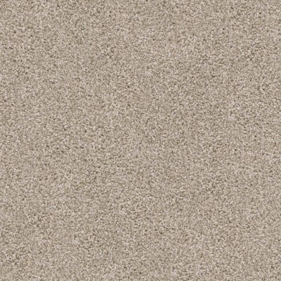 Dixie Home Floors Shepherd Pomeranian