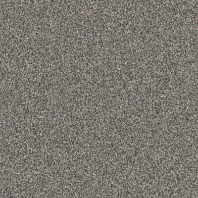 Dixie Home Floors Admiration Silhouette