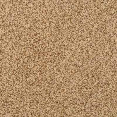 Dixie Home Floors Cozy Monarch