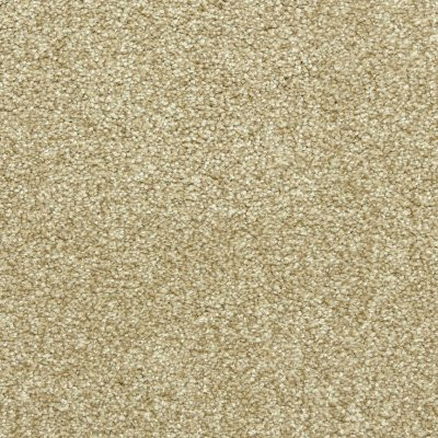 Dixie Home Floors Maroon Bells Cameo