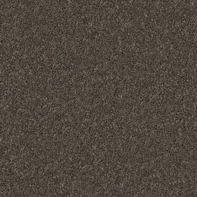 Dixie Home Floors Shepherd Schnauzer