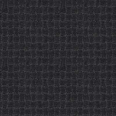 Anderson Tuftex Pawstruck Night Shade