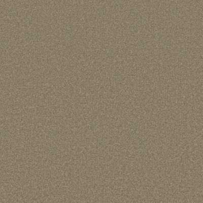Anderson Tuftex Elegant Beauty Slate