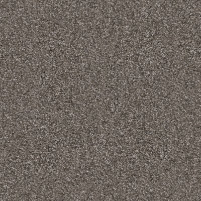 Dixie Home Floors Shepherd Frenchie