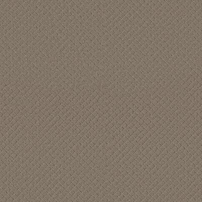Anderson Tuftex Pawnache Gray Mirage