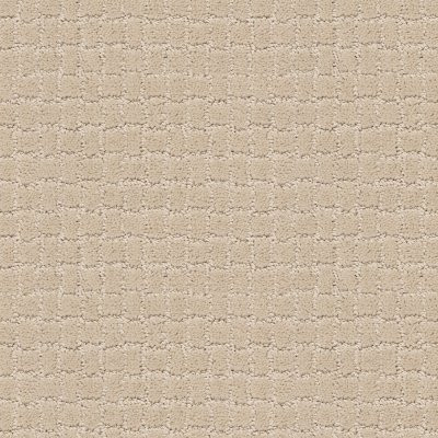 Anderson Tuftex Pawstruck Toffee Cream