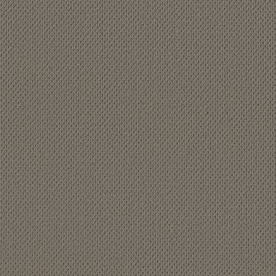 Anderson Tuftex Mera Pewter