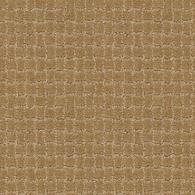 Anderson Tuftex Pawstruck Golden Straw