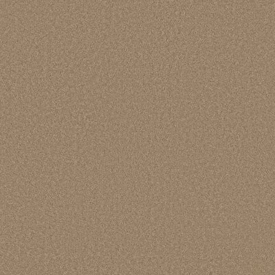 Anderson Tuftex Elegant Beauty Biscotti
