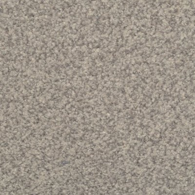 Dixie Home Floors Chromatic Touch Wall Street
