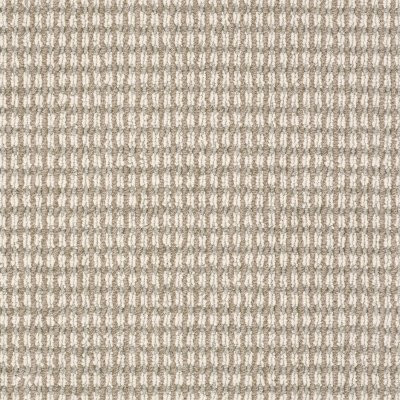 Anderson Tuftex Abbey's Road Chic Taupe