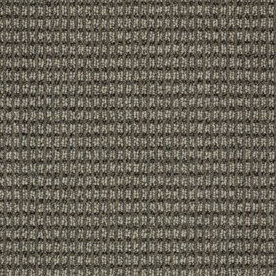 Anderson Tuftex Abbey's Road Stylish Gray