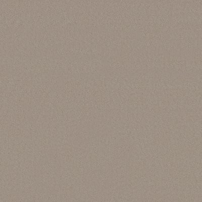 Anderson Tuftex Finery Putty