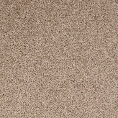 Dixie Home Floors Spectrum Champion