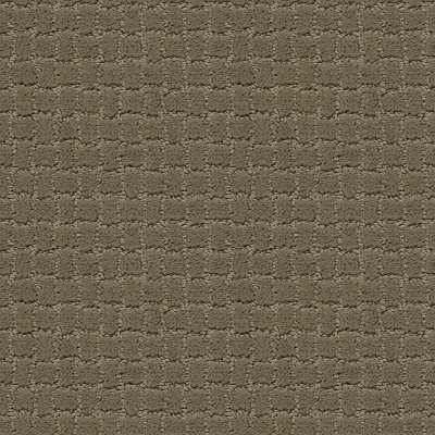 Anderson Tuftex Pawstruck Dry Sage