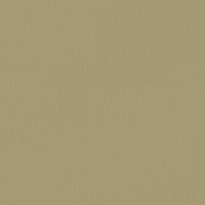 Anderson Tuftex Finery Chartreuse