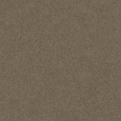 Anderson Tuftex Serendipity I Simply Taupe