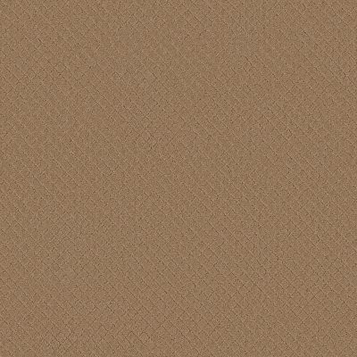 Anderson Tuftex Pawnache Golden Straw