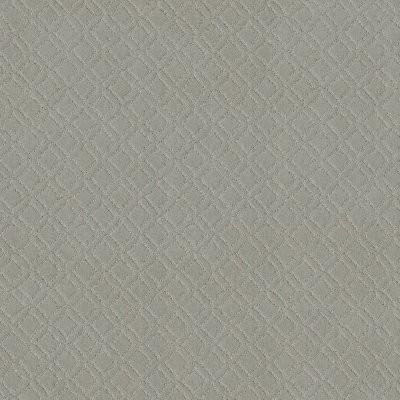 Anderson Tuftex Muse Gentle Gray