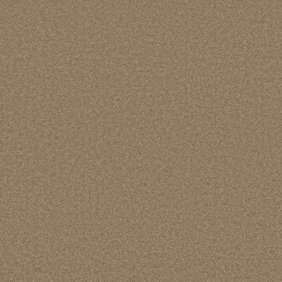 Anderson Tuftex Elegant Beauty Latte