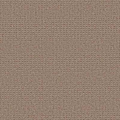 Anderson Tuftex Fetch Russet