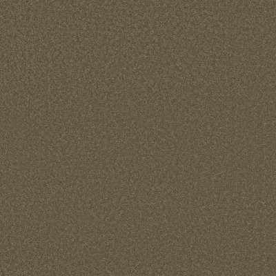 Anderson Tuftex Elegant Beauty Moonbeam