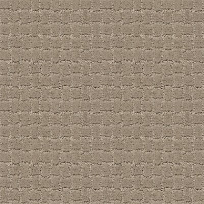 Anderson Tuftex Pawstruck Mocha Cream