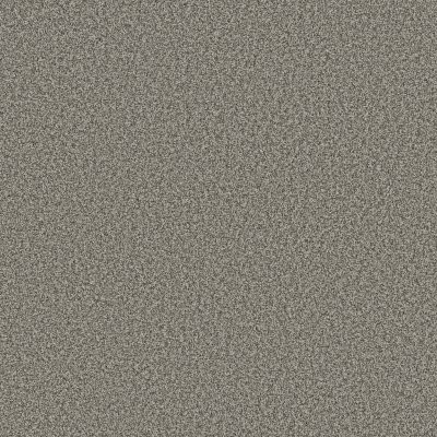 Anderson Tuftex Terra Nova Chelsea Fog