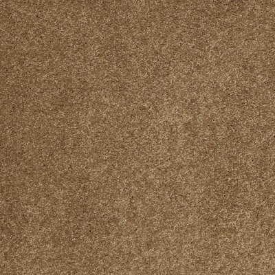 Anderson Tuftex Serendipity I Bronze Glow