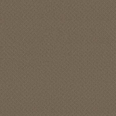Anderson Tuftex Pawnache Dry Sage