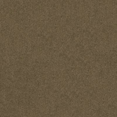 Anderson Tuftex Serendipity I Vicuna