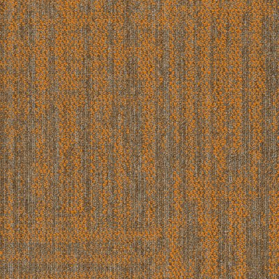Philadelphia Commercial Raw Beauty Magnetic