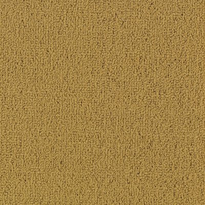 Philadelphia Commercial Color Accents BL Brasserie