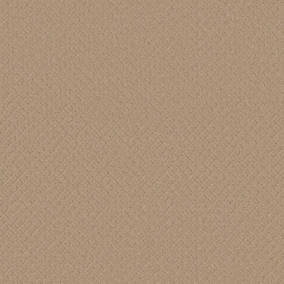 Anderson Tuftex Pawnache Hazelnut