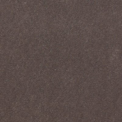 Philadelphia Commercial Emphatic Ii 36 Coffee Bean