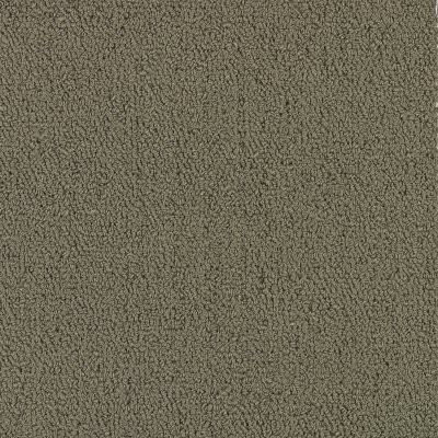 Philadelphia Commercial Color Accents BL Taupe