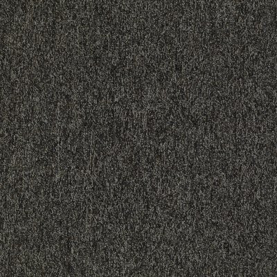 Philadelphia Commercial Multiplicity Volume