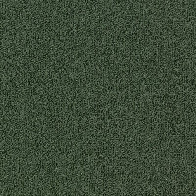 Philadelphia Commercial Color Accents BL Cyprus