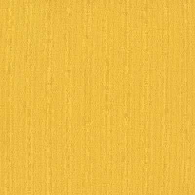 Philadelphia Commercial Color Accents Citrus