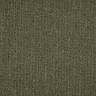 Philadelphia Commercial Color Accents Ivy