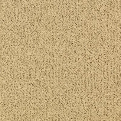 Philadelphia Commercial Color Accents Flax