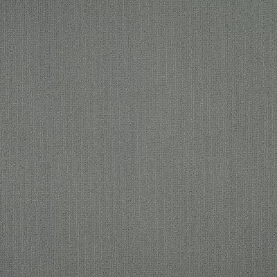 Philadelphia Commercial Color Accents Flannel