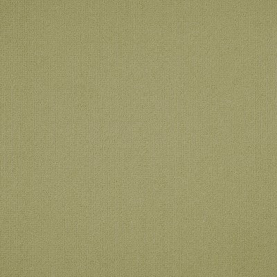 Philadelphia Commercial Color Accents Fescue