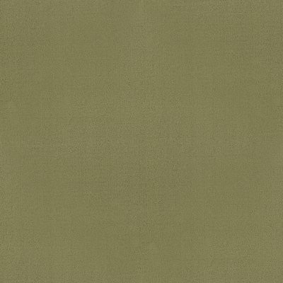 Philadelphia Commercial Color Accents BL Fescue