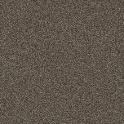 Dreamweaver BLAZER III French Roast