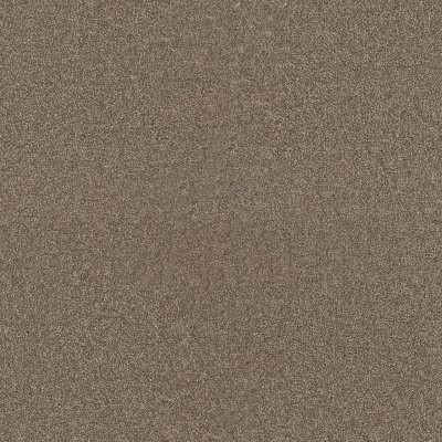Dreamweaver STAR STRUCK Quail